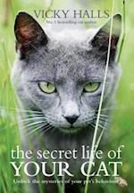 Secret Life of your Cat