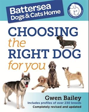 Choosing the Right Dog for You