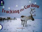 Tracking the Caribou (Pack of 6)