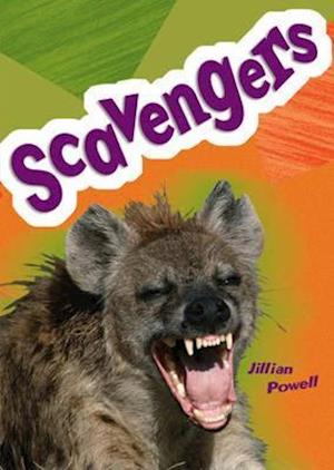 Pocket Facts Year 5: Scavengers