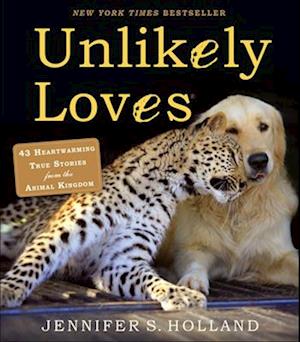 Unlikely Loves