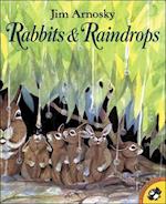 Rabbits and Raindrops