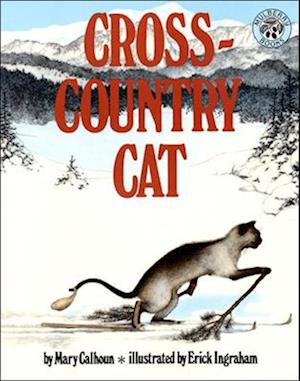 Cross-Country Cat