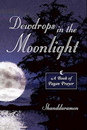 Dewdrops in the Moonlight