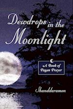 Dewdrops in the Moonlight