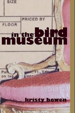 in the bird museum