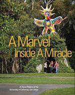 A Marvel Inside a Miracle