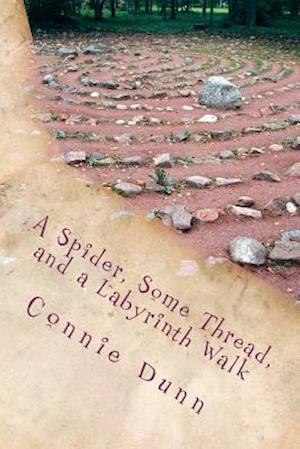 A Spider, Some Thread, and a Labyrinth Walk