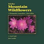 Idaho Mountain Wildflowers