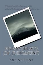 Breastplate of Judgment