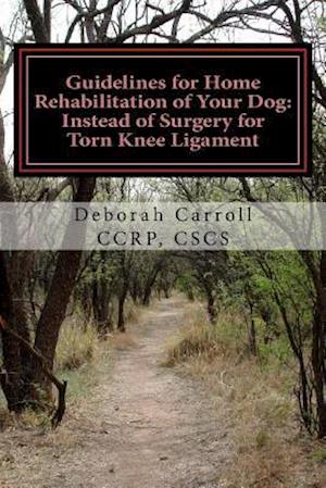 Guidelines for Home Rehabilitation of Your Dog