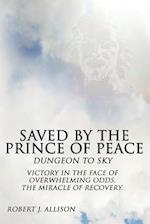 Saved by the Prince of Peace -- Dungeon to Sky