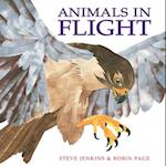 Animals in Flight