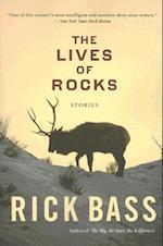 The Lives of Rocks