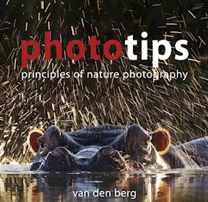 Phototips