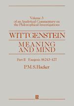Wittgenstein: Meaning and Mind