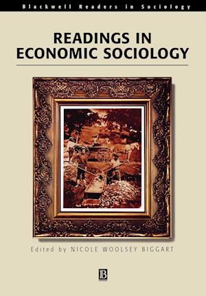 Readings in Economic Sociology