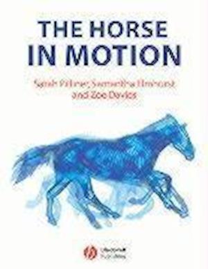 The Horse in Motion