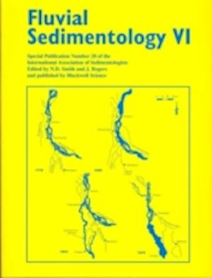 Fluvial Sedimentology VI