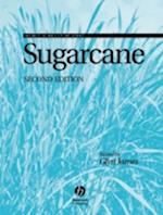 Sugarcane 2e