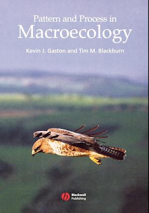 Pattern and Process in Macroecology
