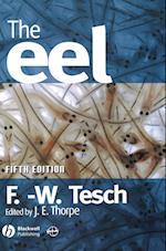 The Eel 5e