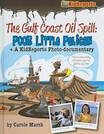 The Gulf Coast Oil Spill