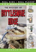 The Mystery at Rattlesnake Ridge