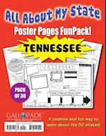 All about My State-Tennessee Funpack (Pack of 30)