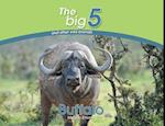 Buffalo: The Big 5 and other wild animals 