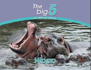 Hippo: The Big 5 and other wild animals