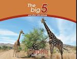 Giraffe: The Big 5 and other wild animals 