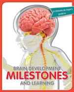 Brain development milestones and learning