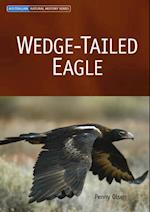 Wedge-tailed Eagle