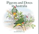 Pigeons and Doves in Australia