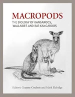 Macropods