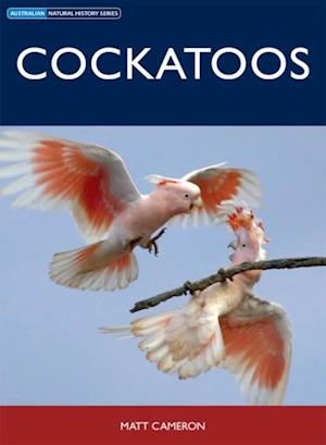 Cockatoos