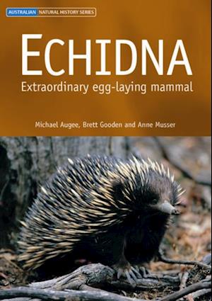 Echidna