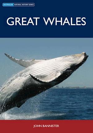 Great Whales