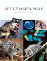 Life of Marsupials