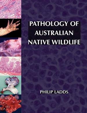 Pathology of Australian Native Wildlife