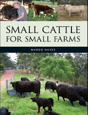 Small Cattle for Small Farms