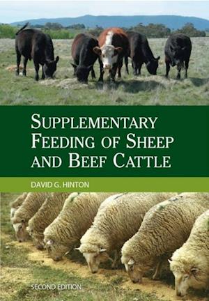 Supplementary Feeding of Sheep and Beef Cattle