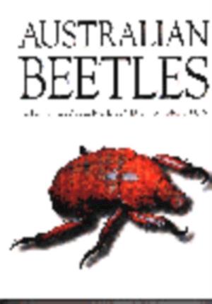 Australian Beetles