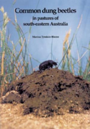 Common Dung Beetles in Pastures of South-eastern Australia