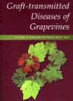 Graft-transmitted Diseases of Grapevines