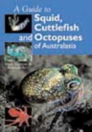 Guide to Squid, Cuttlefish and Octopuses of Australasia