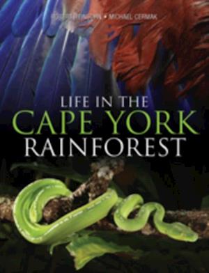 Life in the Cape York Rainforest