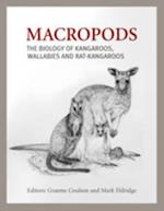 Macropods