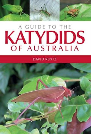 Guide to the Katydids of Australia